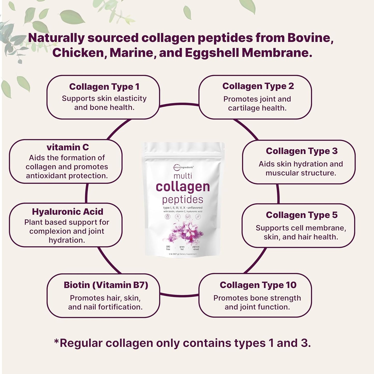 Micro Ingredients Multi Collagen Protein Powder, 2 libras – Tipo I, II, III, V, X con Biotina, Ácido Hialurónico, Vitamina C.